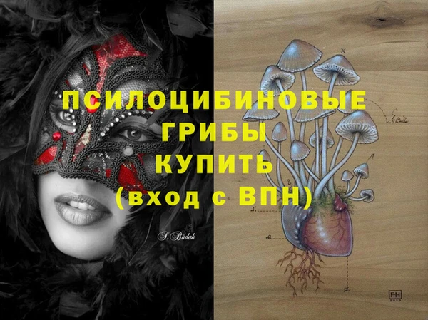 стафф Балахна