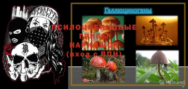 стафф Балахна