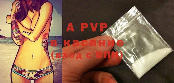 дживик Белокуриха