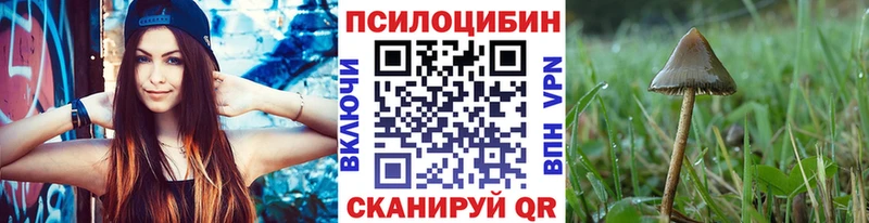 даркнет состав Яхрома Галлюциногенные грибы мицелий купить сайты